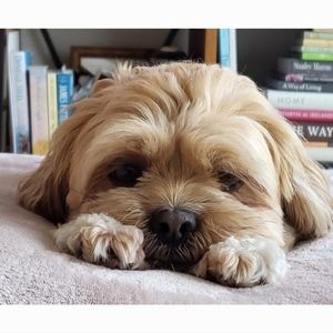 Meet your Posher, Denise